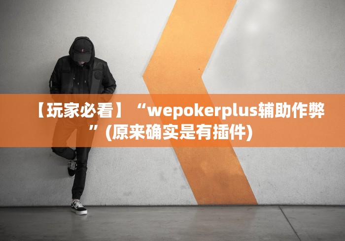 【玩家必看】“wepokerplus辅助作弊”(原来确实是有插件) 
