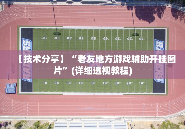 【技术分享】“老友地方游戏辅助开挂图片”(详细透视教程)