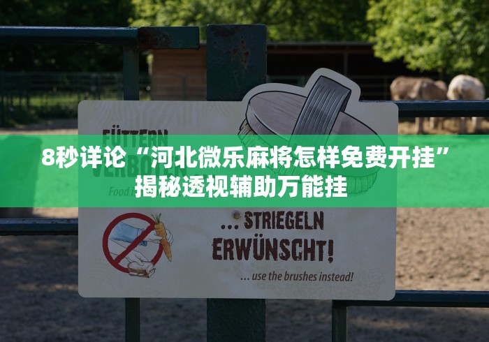 8秒详论“河北微乐麻将怎样免费开挂”揭秘透视辅助万能挂 
