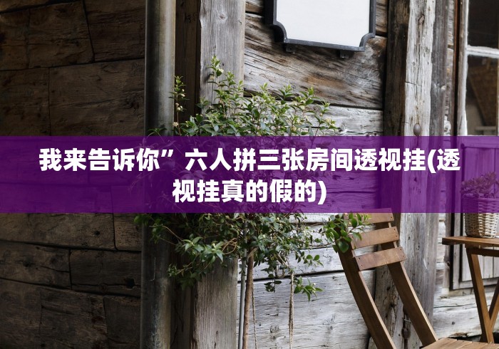 我来告诉你”六人拼三张房间透视挂(透视挂真的假的)