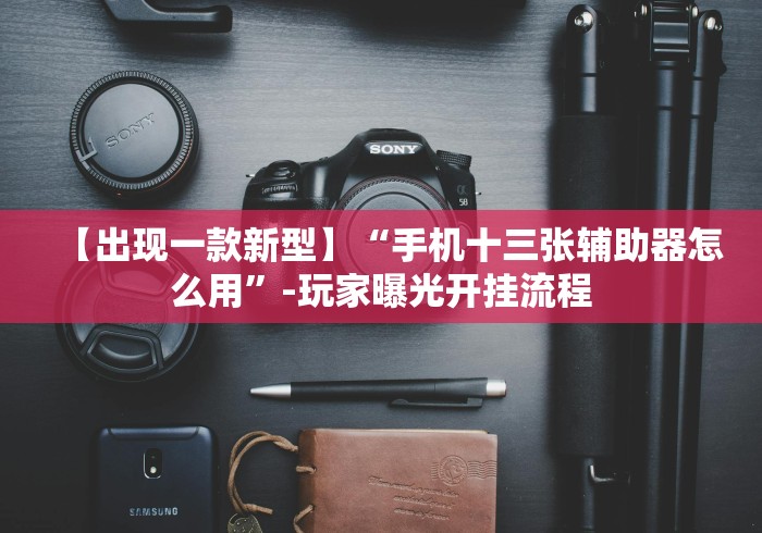 【出现一款新型】“手机十三张辅助器怎么用”-玩家曝光开挂流程