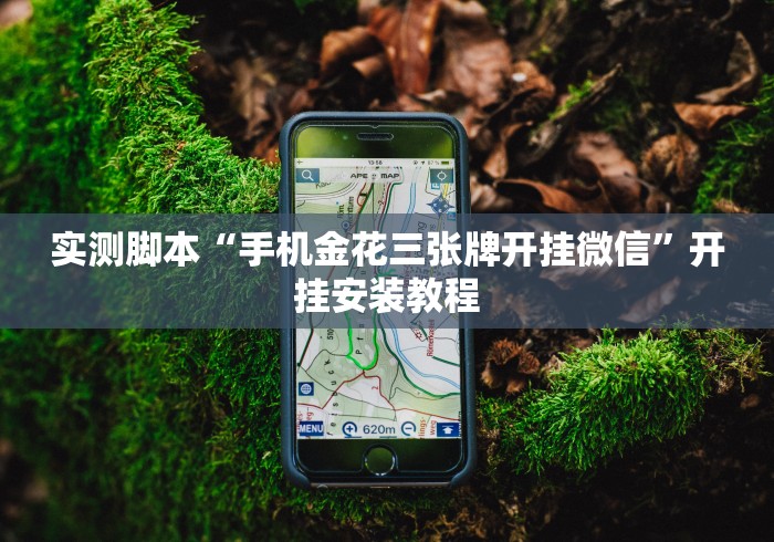 五分钟了解微乐麻将挂怎么安装”有挂详细开挂教程