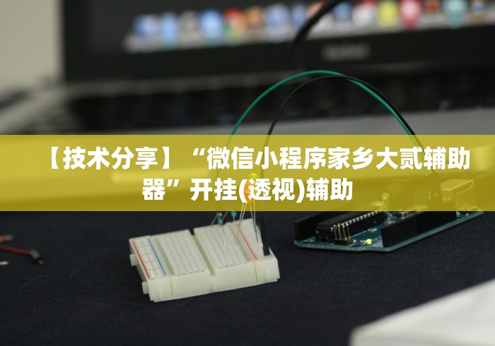 【技术分享】“微信小程序家乡大贰辅助器”开挂(透视)辅助