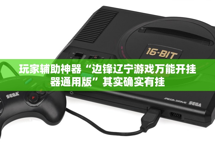 玩家辅助神器“边锋辽宁游戏万能开挂器通用版”其实确实有挂