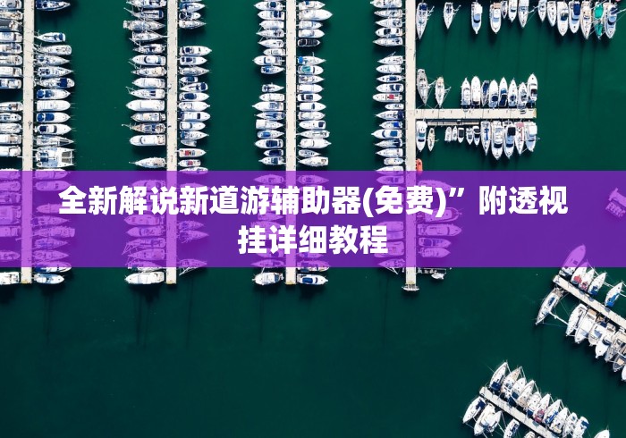 全新解说新道游辅助器(免费)”附透视挂详细教程