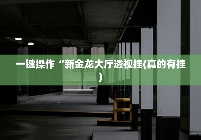 必备教程“闽游十三水开挂辅助器是什么弄的”开挂辅助脚本+详细