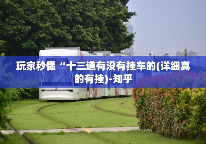 玩家秒懂“十三道有没有挂车的(详细真的有挂)-知乎