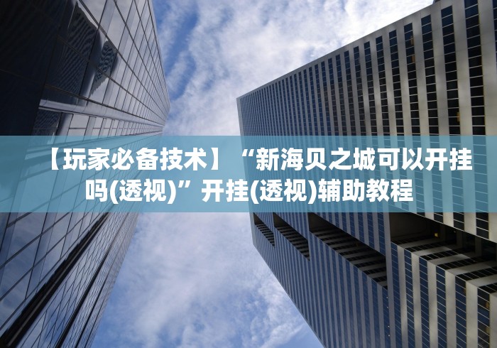 【玩家必备技术】“新海贝之城可以开挂吗(透视)”开挂(透视)辅助教程