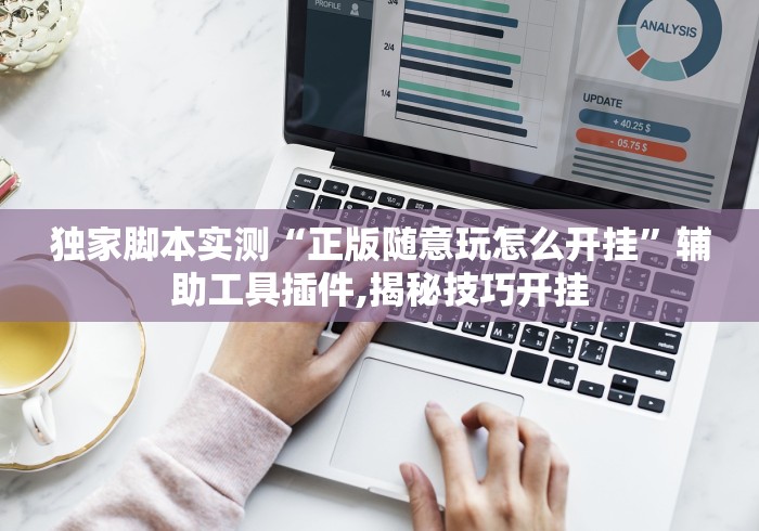 独家脚本实测“正版随意玩怎么开挂”辅助工具插件,揭秘技巧开挂