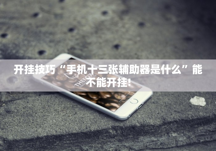 实测工具“皮皮湖北麻将有挂吗”开挂必胜方法
