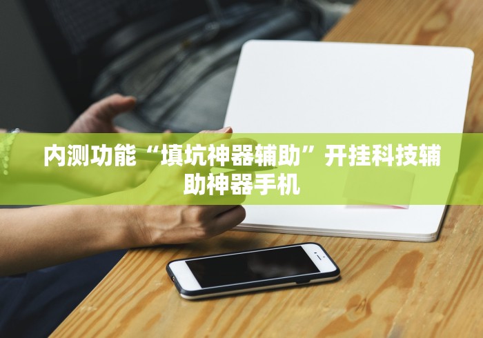 内测功能“填坑神器辅助	”开挂科技辅助神器手机