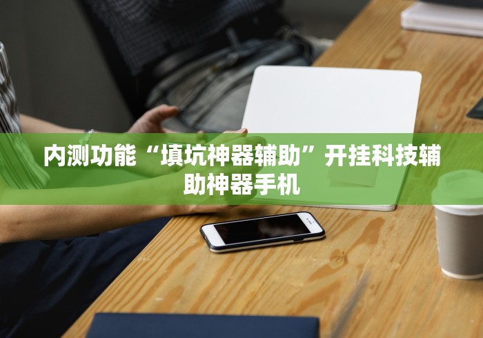 内测功能“填坑神器辅助”开挂科技辅助神器手机