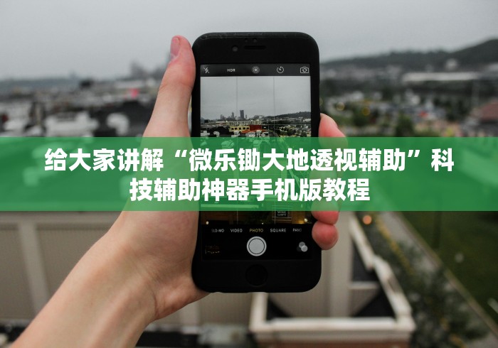 给大家讲解“微乐锄大地透视辅助	”科技辅助神器手机版教程