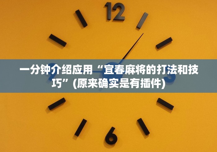 一分钟介绍应用“宜春麻将的打法和技巧”(原来确实是有插件)