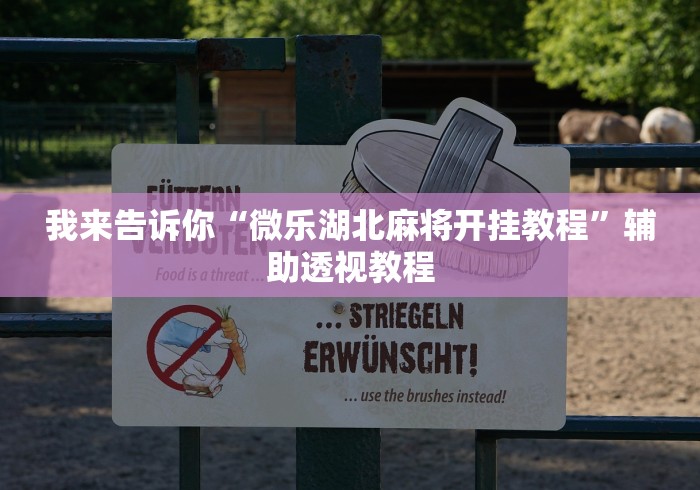 我来告诉你“微乐湖北麻将开挂教程”辅助透视教程