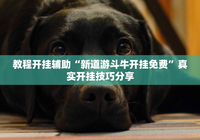 【头条新闻】“麻辣竞技可以开挂吗”开挂方法