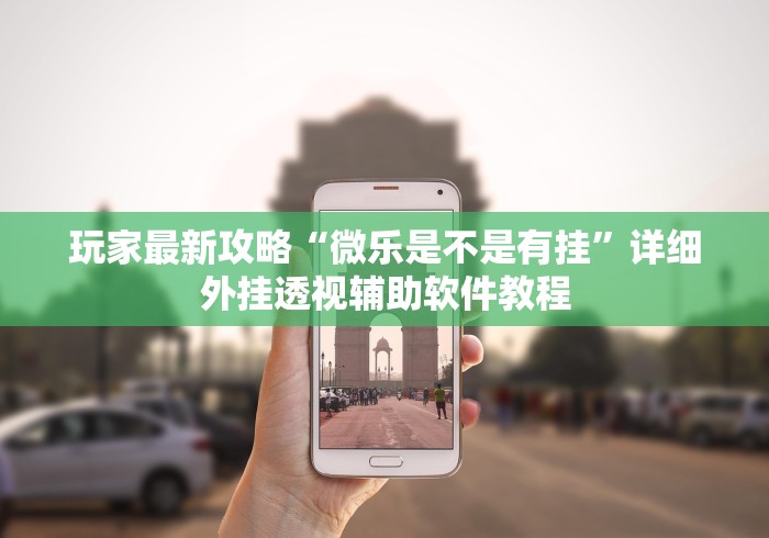 玩家最新攻略“微乐是不是有挂”详细外挂透视辅助软件教程