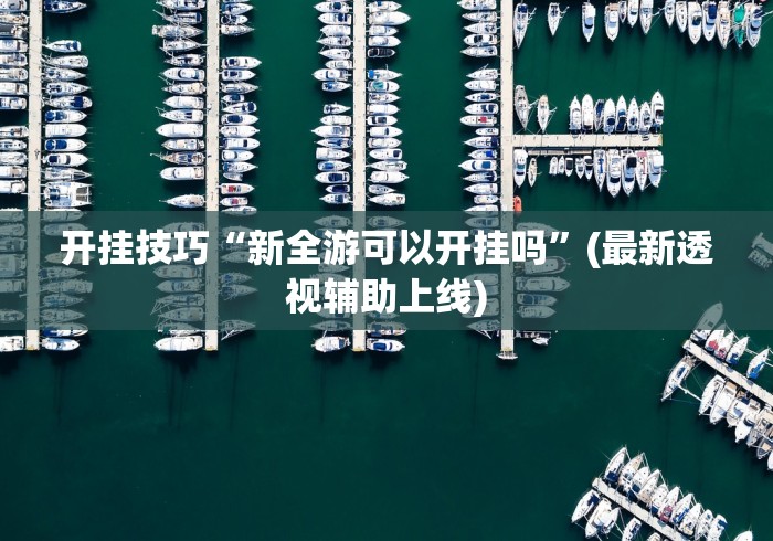 玩家必知“手机斗牛开挂神器下载苹果版”详细外挂辅助详细教程