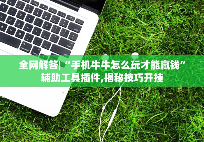 全网解答|“手机牛牛怎么玩才能赢钱”辅助工具插件,揭秘技巧开挂