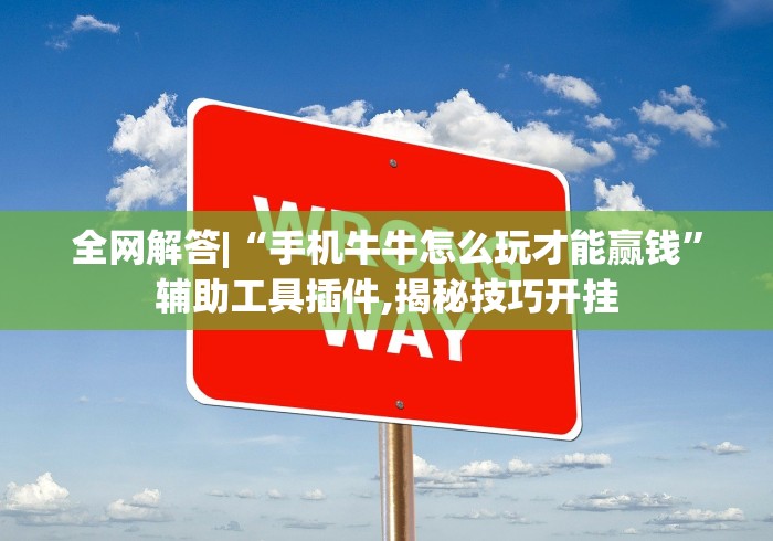 全网解答|“手机牛牛怎么玩才能赢钱”辅助工具插件,揭秘技巧开挂