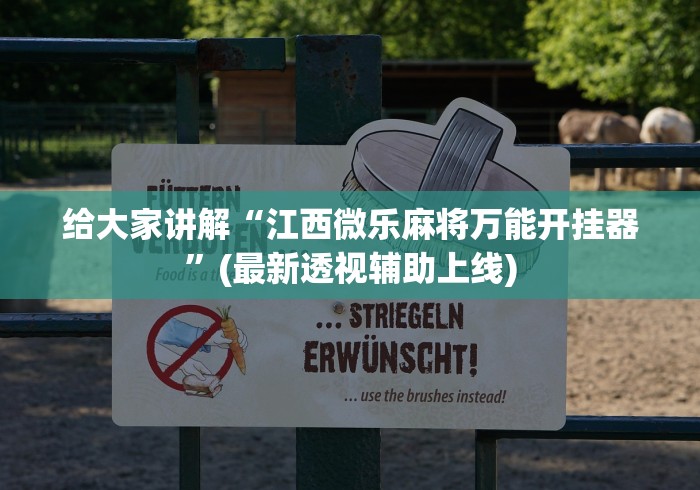 给大家讲解“江西微乐麻将万能开挂器”(最新透视辅助上线)