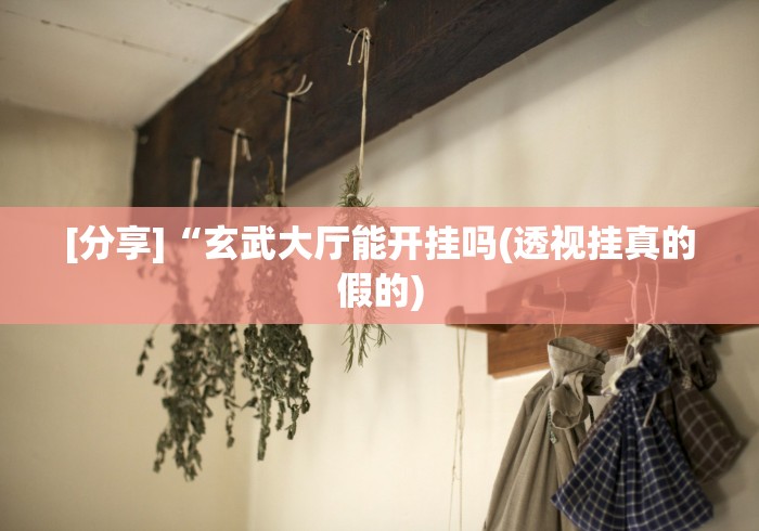 [分享]“玄武大厅能开挂吗(透视挂真的假的)