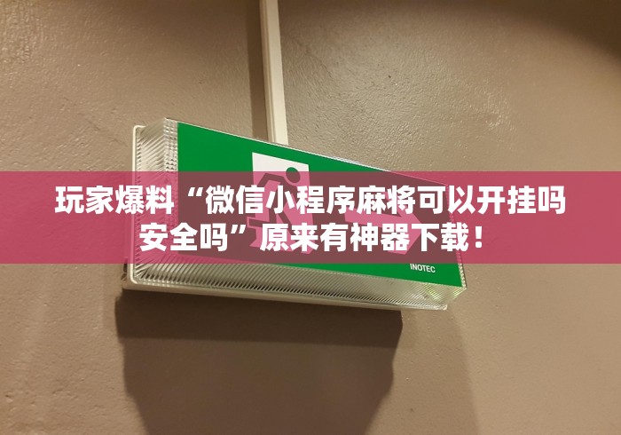 玩家爆料“微信小程序麻将可以开挂吗安全吗”原来有神器下载！