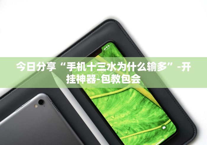 2026玩家推荐:海南麻将有什么技巧	”(原来确实是有插件)