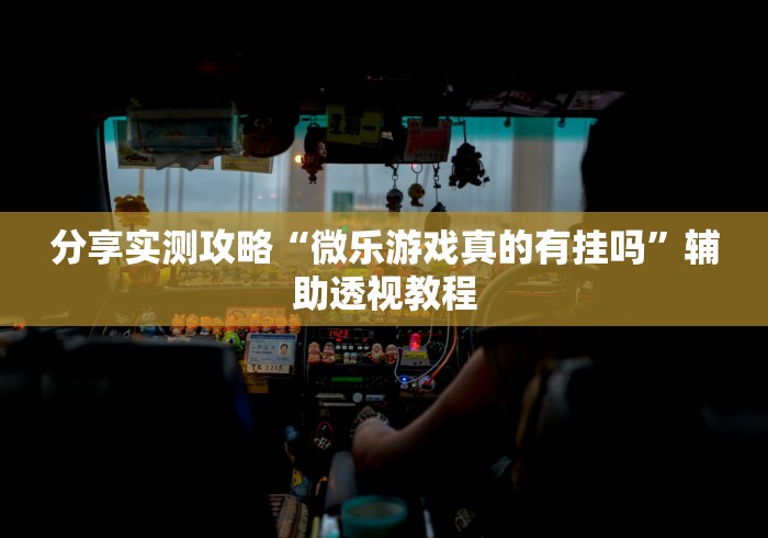 玩家实测“微乐自建房开挂”作弊挂(辅助外挂+教程)