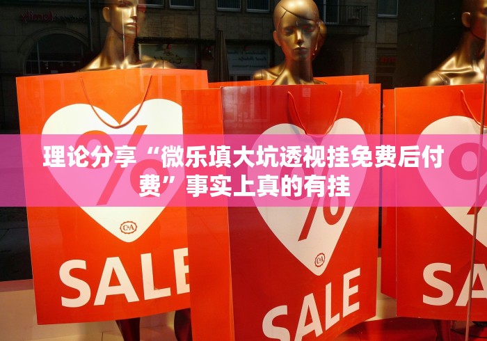 理论分享“微乐填大坑透视挂免费后付费”事实上真的有挂
