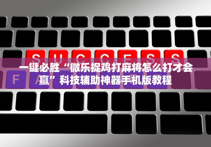 使用分享!小程序途游麻将绝对有挂(辅助外挂+教程) 