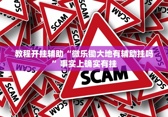 教程开挂辅助“微乐锄大地有辅助挂吗”事实上确实有挂