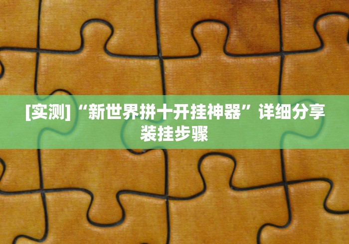 [实测]“新世界拼十开挂神器”详细分享装挂步骤