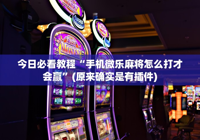 [实测]“赫麒众游开挂神器下载”辅助挂下载