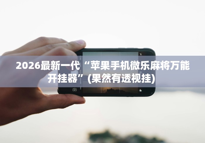 辅助开挂工具“微乐南昌麻将有挂吗”(果然有透视挂)
