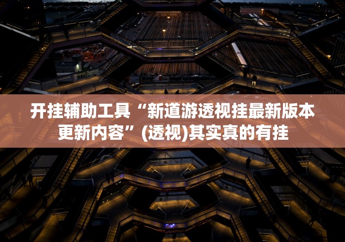 开挂辅助工具“新道游透视挂最新版本更新内容”(透视)其实真的有挂
