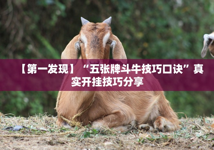 【第一发现】“五张牌斗牛技巧口诀	”真实开挂技巧分享
