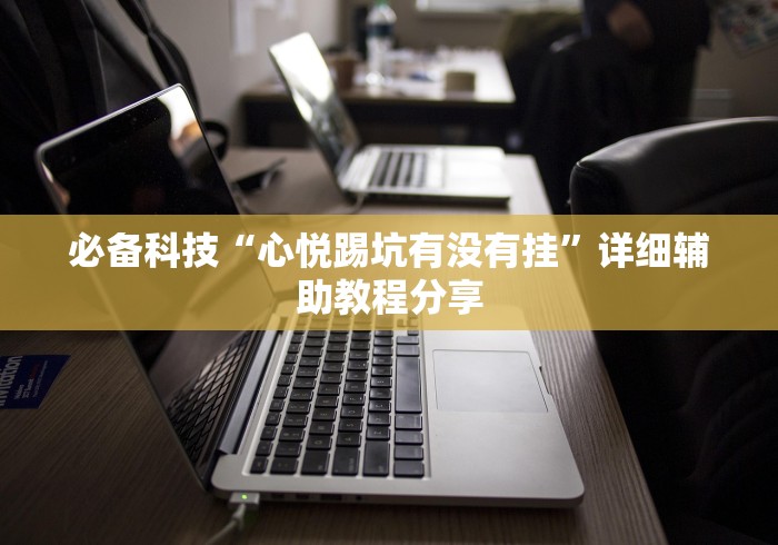 必备科技“心悦踢坑有没有挂”详细辅助教程分享