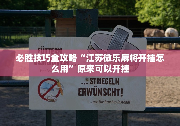 必胜技巧全攻略“江苏微乐麻将开挂怎么用	”原来可以开挂