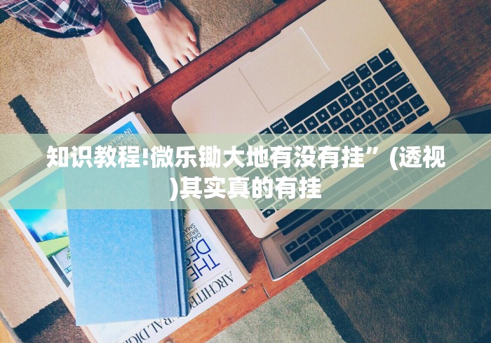 知识教程!微乐锄大地有没有挂”(透视)其实真的有挂