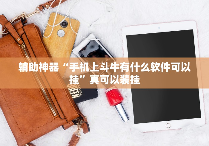 辅助神器“手机上斗牛有什么软件可以挂	”真可以装挂