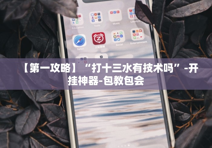 【第一攻略】“打十三水有技术吗”-开挂神器-包教包会