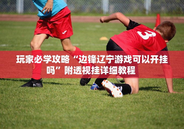 玩家必学攻略“边锋辽宁游戏可以开挂吗”附透视挂详细教程 