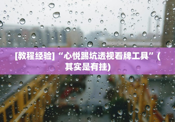 [教程经验]“心悦踢坑透视看牌工具”(其实是有挂)