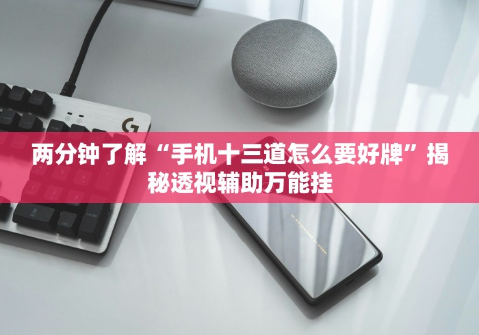 最新引进“微乐陕西麻将免费挂”附透视挂详细教程 