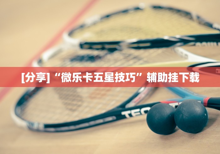 [分享]“微乐卡五星技巧”辅助挂下载