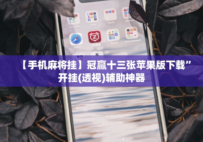 【手机麻将挂】冠赢十三张苹果版下载”开挂(透视)辅助神器