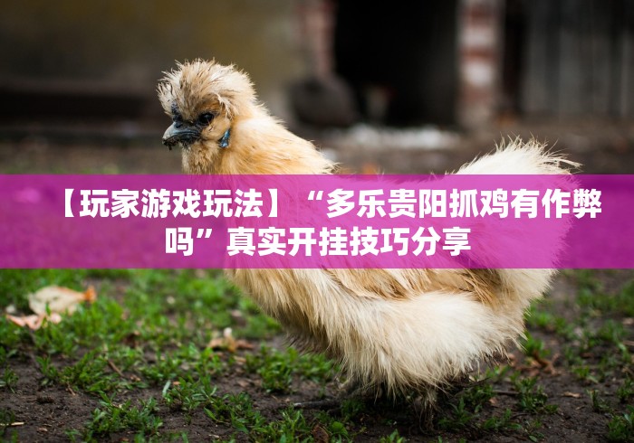 实测教程“微乐小程序三打哈辅助功能	”详细分享装挂步骤教程
