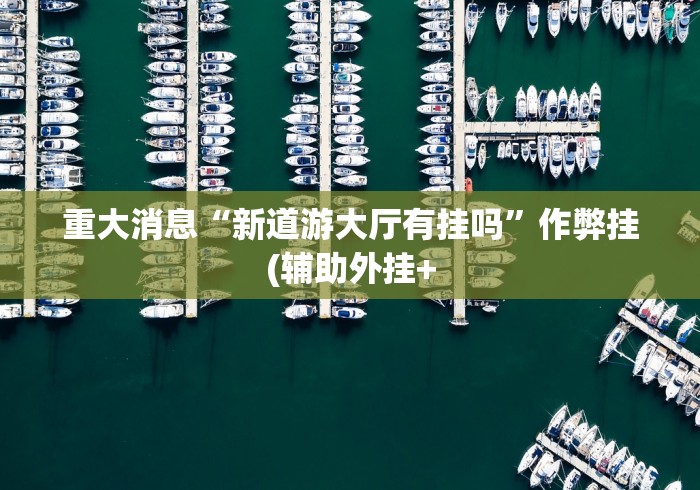 最新引进“小程序开心十三张有挂吗”(透视)开挂辅助脚本+详细开挂安装教程