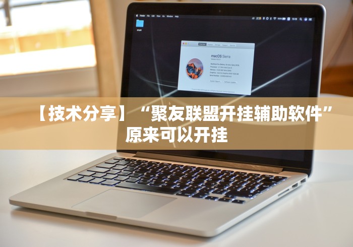 最新引进“小程序开心十三张有挂吗”(透视)开挂辅助脚本+详细开挂安装教程